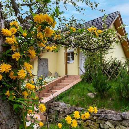 Apartmanovy Dum Vilémovice מראה חיצוני תמונה